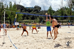 2018_voley-173