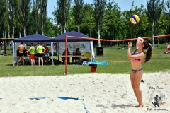 2018_voley-182