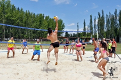2018_voley-184