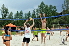 2018_voley-282