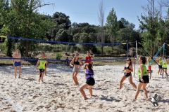 2018_voley-29