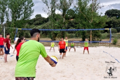 2018_voley-316