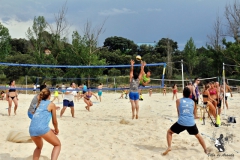 2018_voley-334