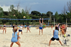 2018_voley-335