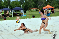 2018_voley-340