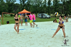 2018_voley-341