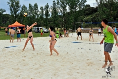 2018_voley-342