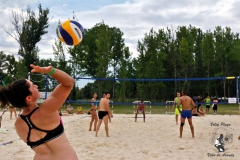 2018_voley-346