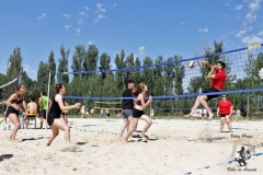2018_voley-53
