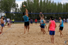 MG_0817