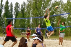 MG_1010_01